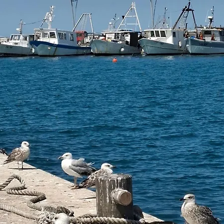 Blue Sky - Hrvatini コペル