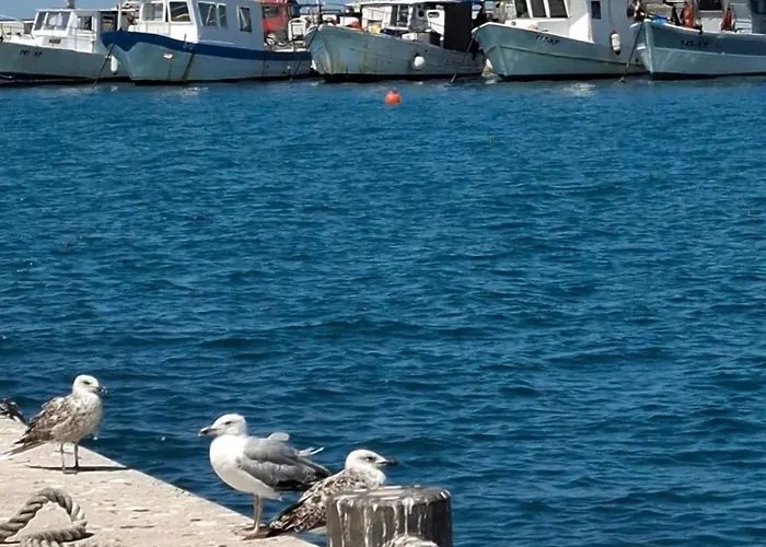Blue Sky - Hrvatini Koper
